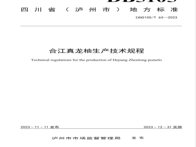DB5105/T 63-2023合江真龙柚生产技术规程