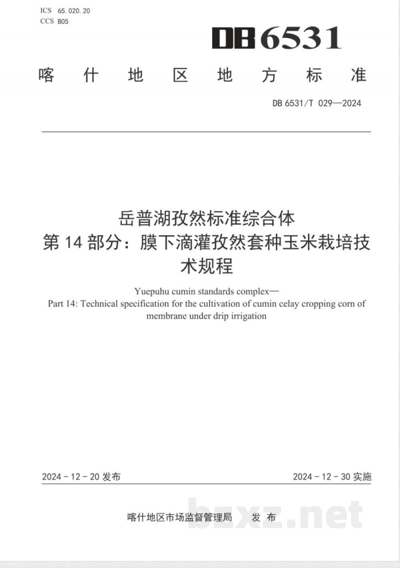 DB6531/T 029-2024岳普湖孜然标准综合体 第14部分:膜下滴灌孜然套种玉米栽培技术规程 DB6531/T 029-2024岳普湖孜然标准综合体 第14部分:膜下滴灌孜然套种玉米栽培技术规程