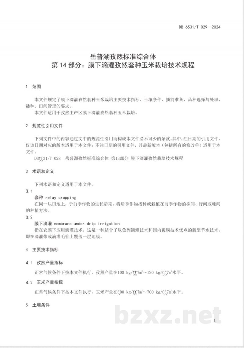 DB6531/T 029-2024岳普湖孜然标准综合体 第14部分:膜下滴灌孜然套种玉米栽培技术规程 DB6531/T 029-2024岳普湖孜然标准综合体 第14部分:膜下滴灌孜然套种玉米栽培技术规程