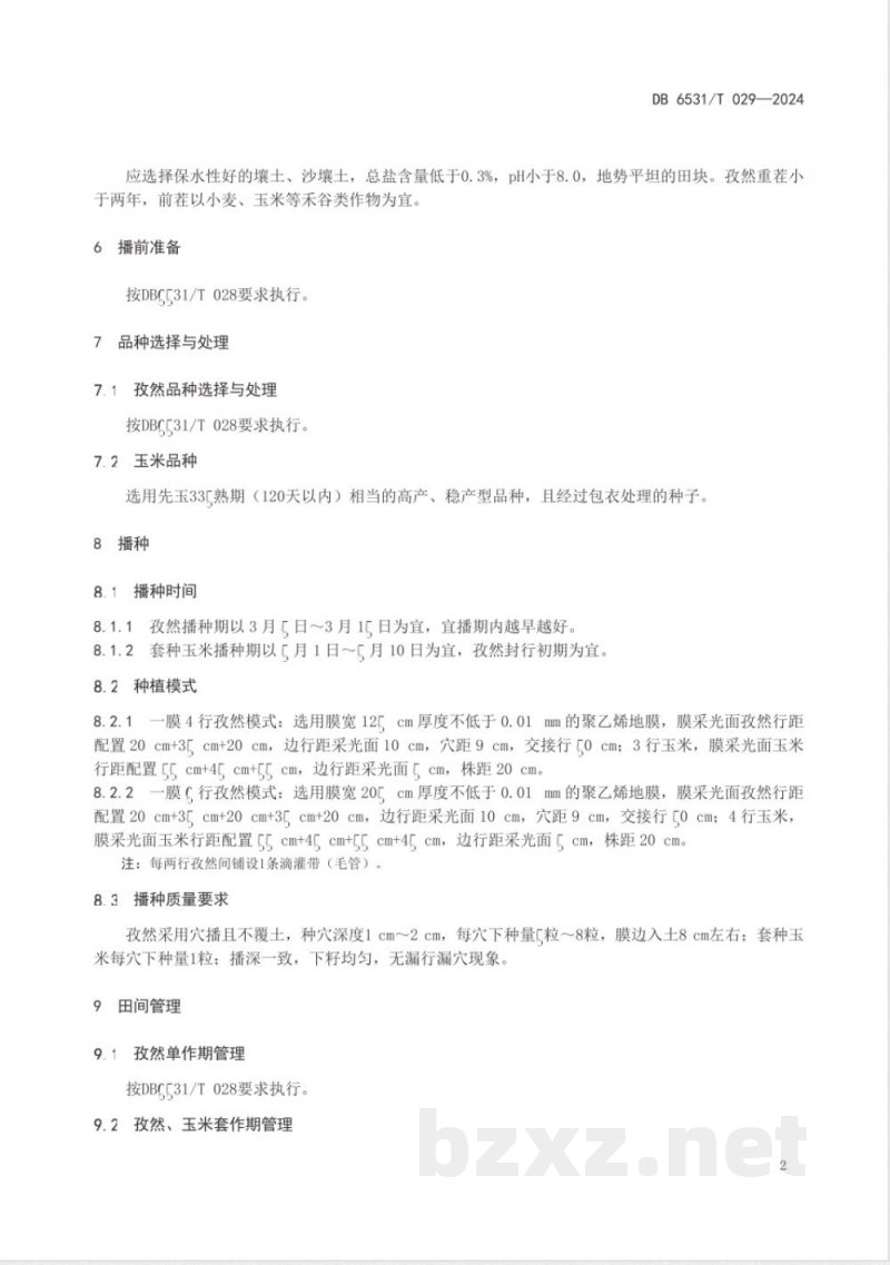 DB6531/T 029-2024岳普湖孜然标准综合体 第14部分:膜下滴灌孜然套种玉米栽培技术规程 DB6531/T 029-2024岳普湖孜然标准综合体 第14部分:膜下滴灌孜然套种玉米栽培技术规程