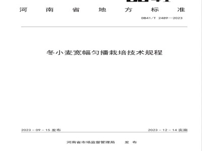 DB41/T 2489-2023冬小麦宽幅匀播栽培技术规程