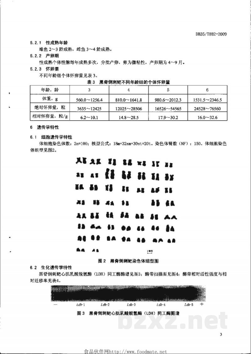 DB35/T 882-2009黑脊倒刺鲃 DB35/T 882-2009黑脊倒刺鲃