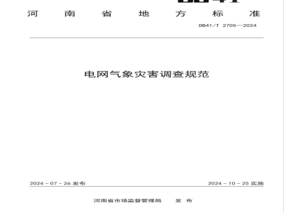 DB41/T 2705-2024电网气象灾害调查规范