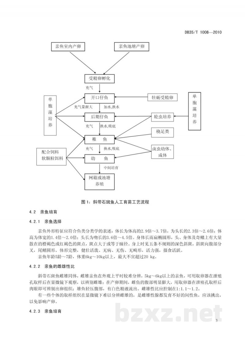 DB35/T 1008-2010斜带石斑鱼人工育苗技术规范 DB35/T 1008-2010斜带石斑鱼人工育苗技术规范