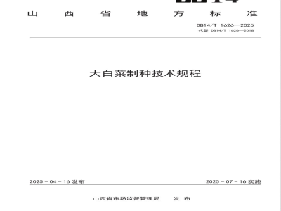 DB14/T 1626-2025大白菜制种技术规程