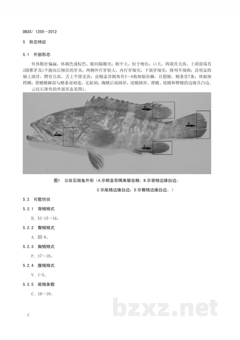 DB35/ 1255-2012云纹石斑鱼种质标准 DB35/ 1255-2012云纹石斑鱼种质标准