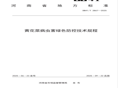 DB41/T 2867-2025黄花菜病虫害绿色防控技术规程