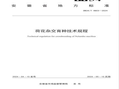 DB34/T 4803-2024荷花杂交育种技术规程