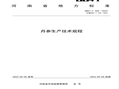 DB1304/T 456-2023砂浆用碳烯复合材料应用技术规程