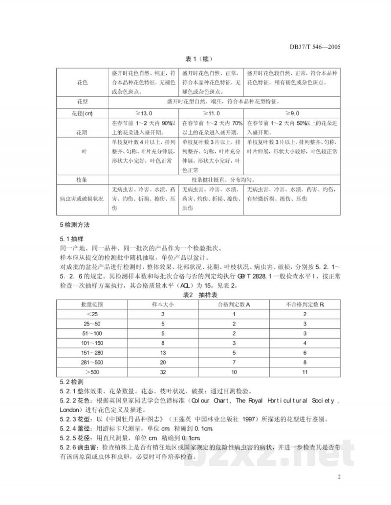 DB37/T 546-2005牡丹春节促成栽培盆花