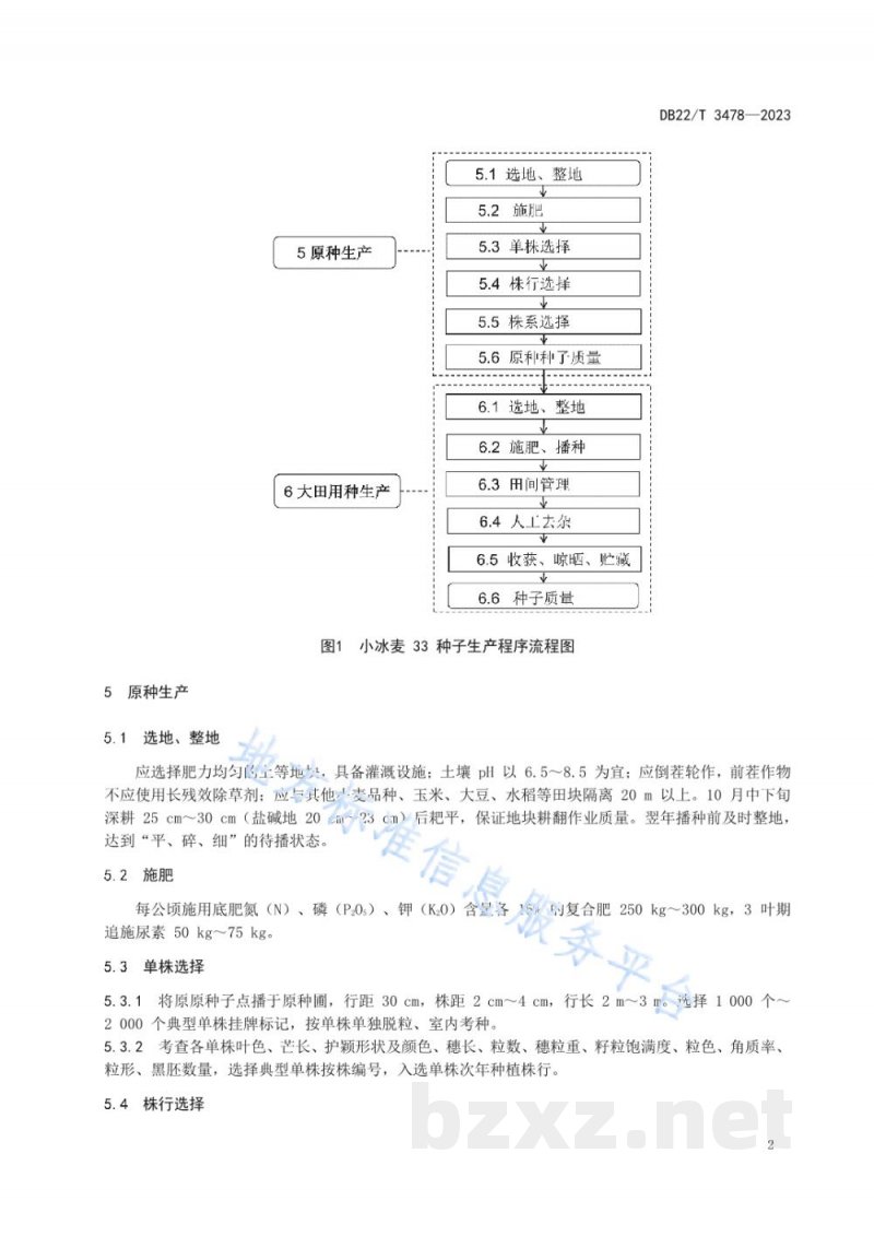 DB22/T 3478-2023小冰麦33种子生产技术规程 DB22/T 3478-2023小冰麦33种子生产技术规程