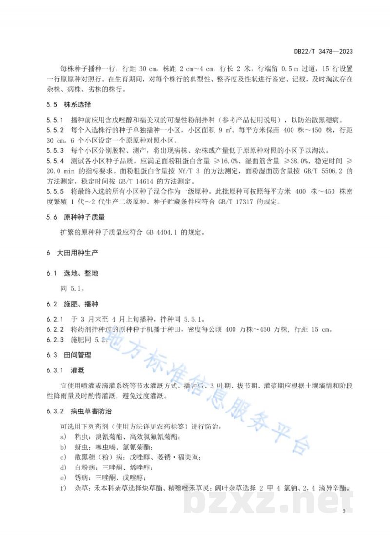 DB22/T 3478-2023小冰麦33种子生产技术规程 DB22/T 3478-2023小冰麦33种子生产技术规程