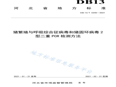 DB13/T 5345-2021猪繁殖与呼吸综合征病毒和猪圆环病毒2型二重PCR检测方法