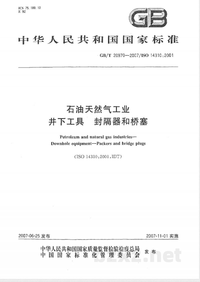 GB/T 20970-2007 石油天然气工业 井下工具 封隔器和桥塞 GB/T 20970-2007 石油天然气工业 井下工具 封隔器和桥塞