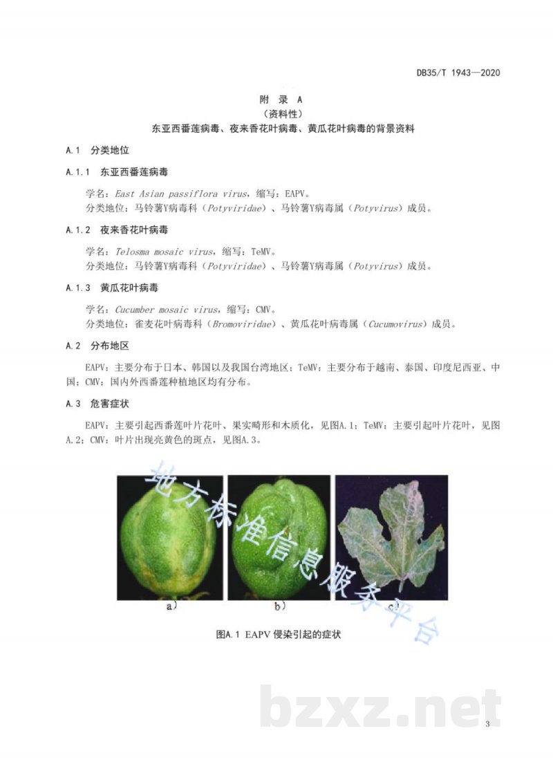 DB35/T 1943-2020百香果(西番莲)病毒检测技术规程 DB35/T 1943-2020百香果(西番莲)病毒检测技术规程