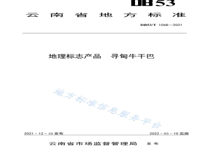 DB53/T 1068-2021地理标志产品 寻甸牛干巴