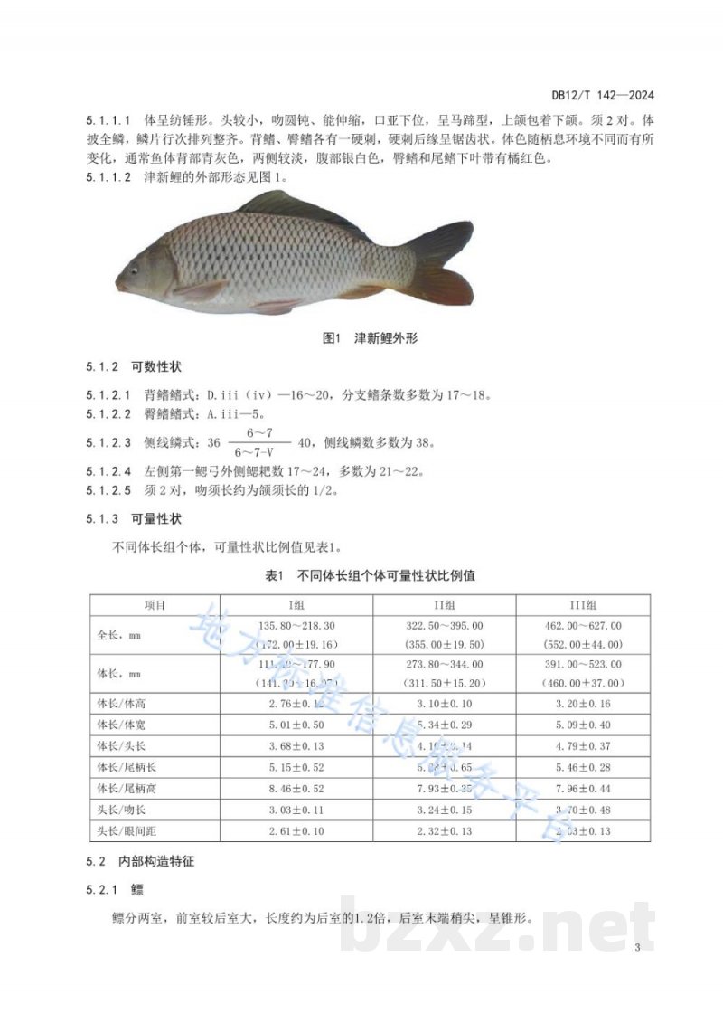 DB12/T 142-2024津新鲤种质鉴定技术规范 DB12/T 142-2024津新鲤种质鉴定技术规范