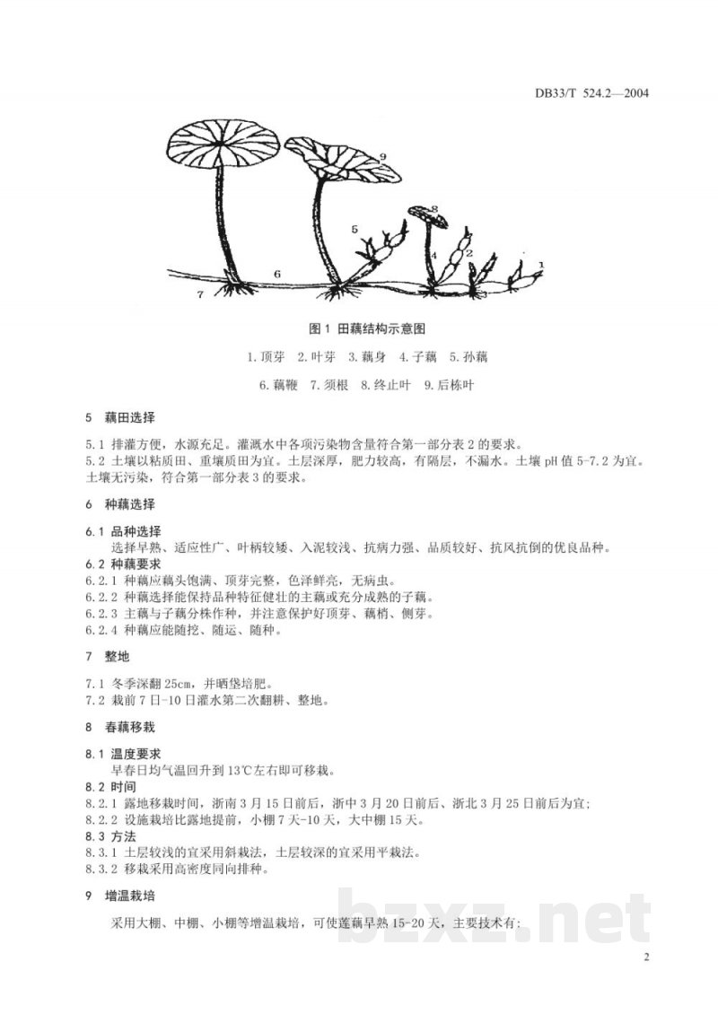 DB33/T 524.2-2004无公害田藕 第2部分:双季栽培技术规程 DB33/T 524.2-2004无公害田藕 第2部分:双季栽培技术规程