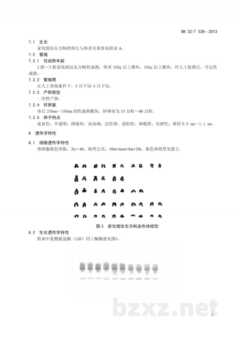 DB32/T 539-2013家化暗纹东方鲀 DB32/T 539-2013家化暗纹东方鲀