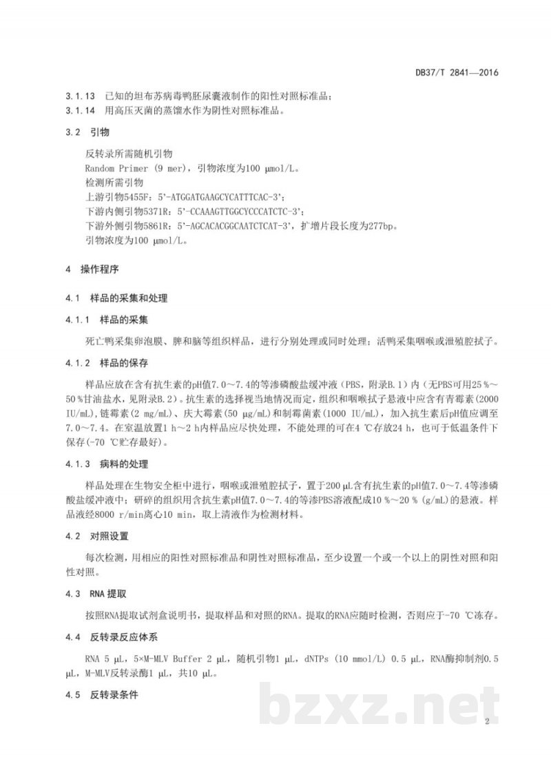 DB37/T 2841-2016鸭坦布苏病毒半套式RT-PCR检测方法 DB37/T 2841-2016鸭坦布苏病毒半套式RT-PCR检测方法