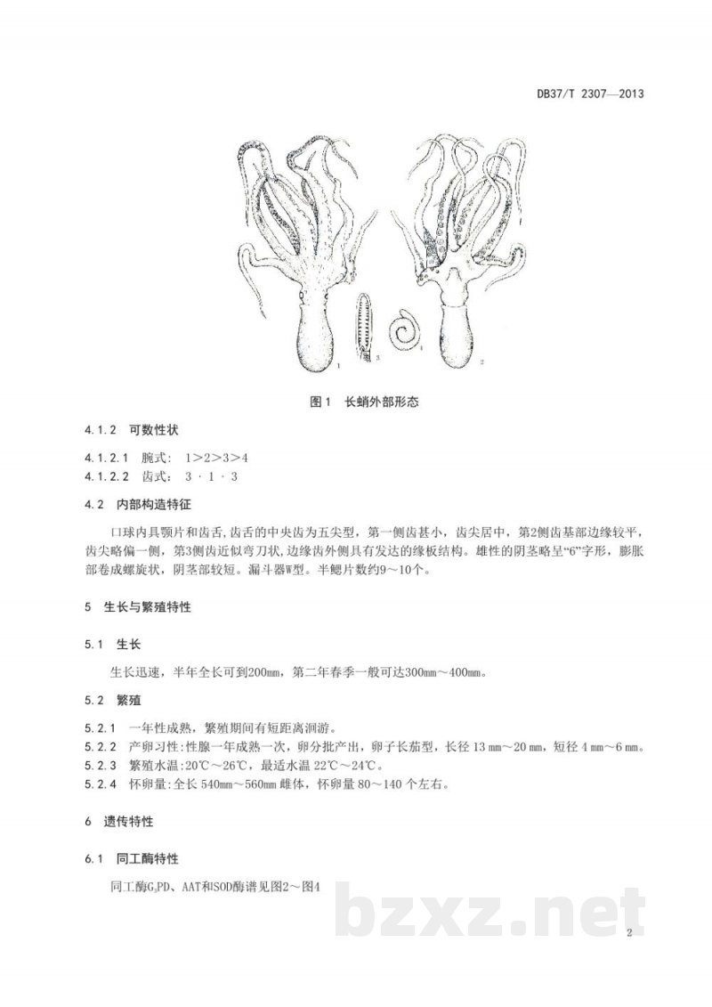 DB37/T 2307-2013长蛸(种质) DB37/T 2307-2013长蛸(种质)