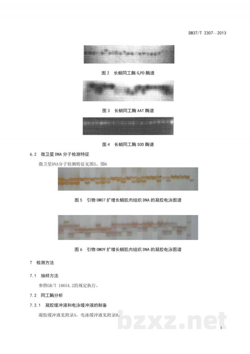 DB37/T 2307-2013长蛸(种质) DB37/T 2307-2013长蛸(种质)