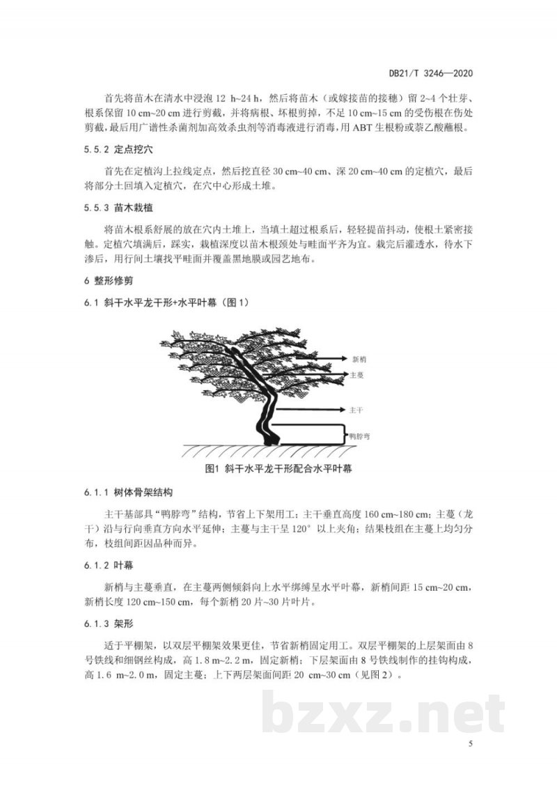 DB21/T 3246-2020鲜食葡萄轻简化生产技术规程 DB21/T 3246-2020鲜食葡萄轻简化生产技术规程