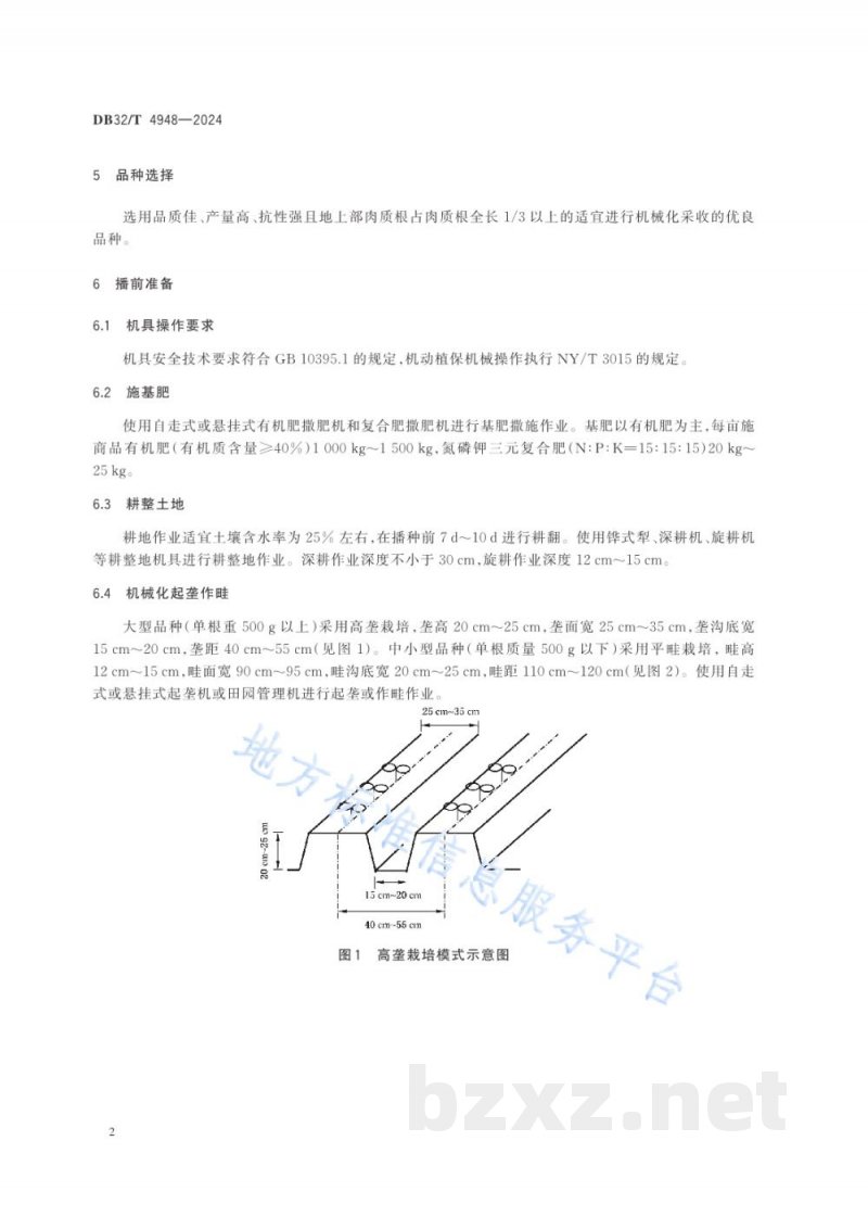 DB32/T 4948-2024露地青萝卜轻简化生产技术规程 DB32/T 4948-2024露地青萝卜轻简化生产技术规程