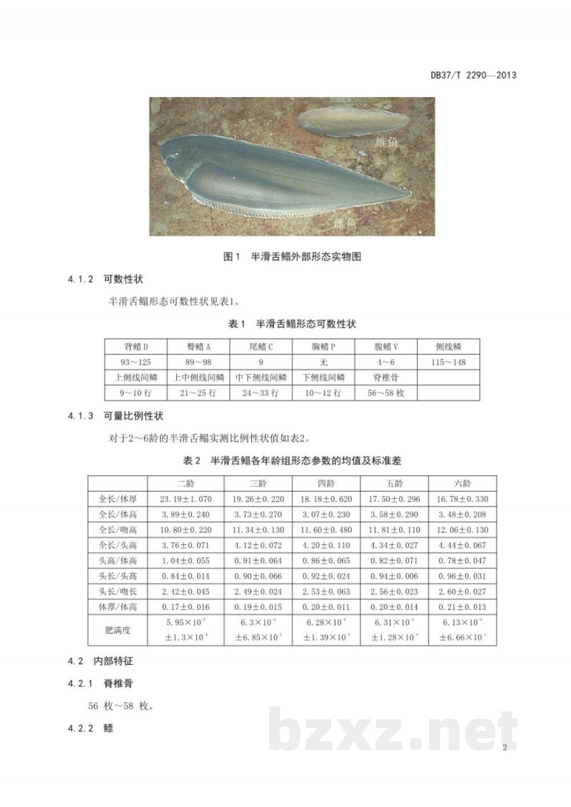 DB37/T 2290-2013半滑舌鳎(种质) DB37/T 2290-2013半滑舌鳎(种质)
