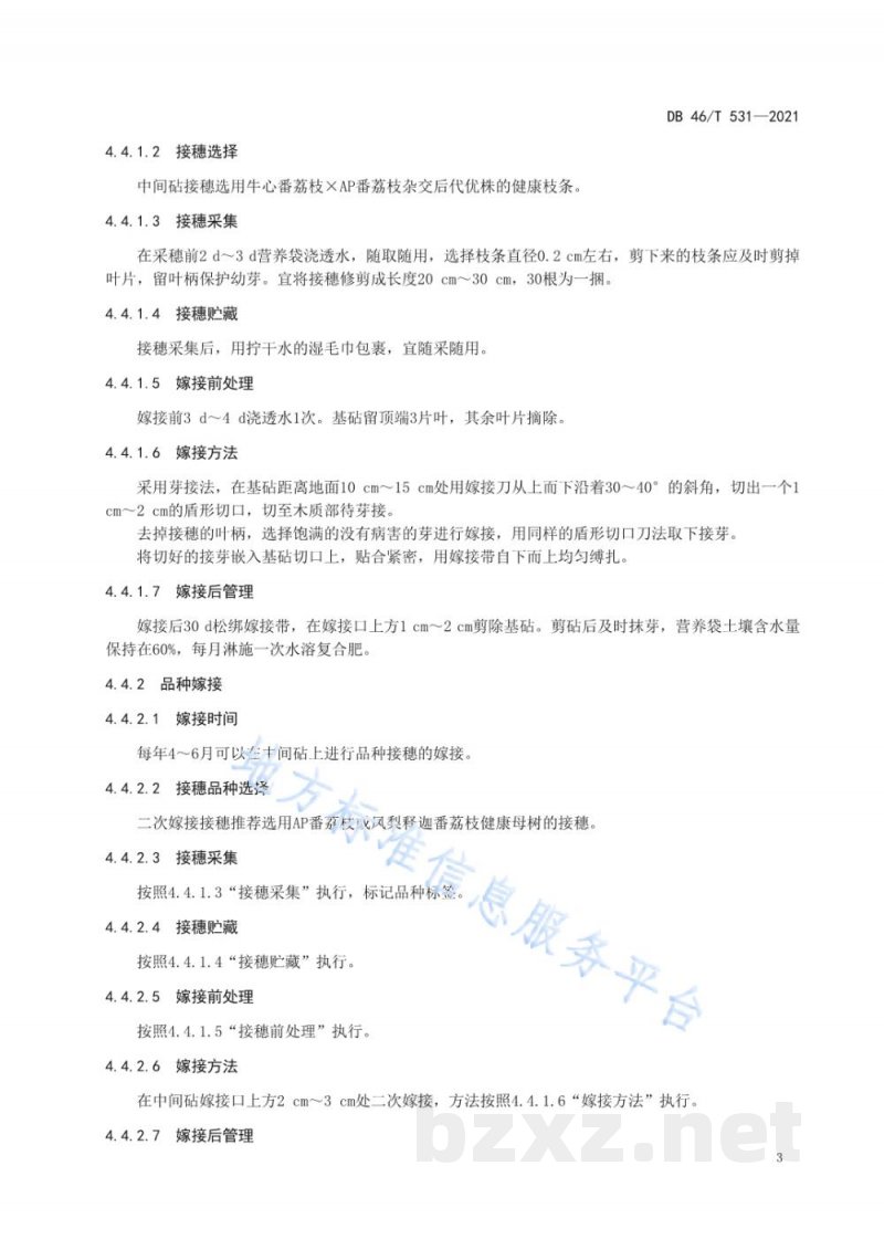 DB46/T 531-2021番荔枝生产技术规程 DB46/T 531-2021番荔枝生产技术规程