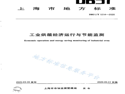 DB31/T 1214-2020节能服务业服务规范 第3部分：工业企业能源审计