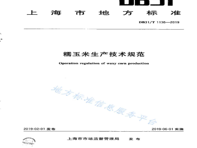 DB31/T 1136-2019糯玉米生产技术规范