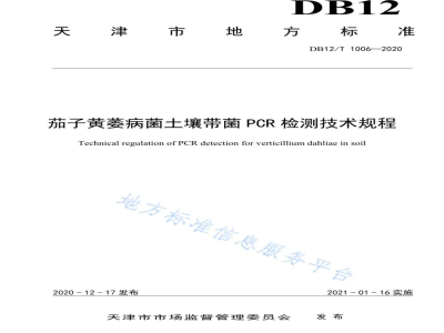 DB12/T 1006-2020茄子黄萎病菌土壤带菌 PCR 检测技术规程