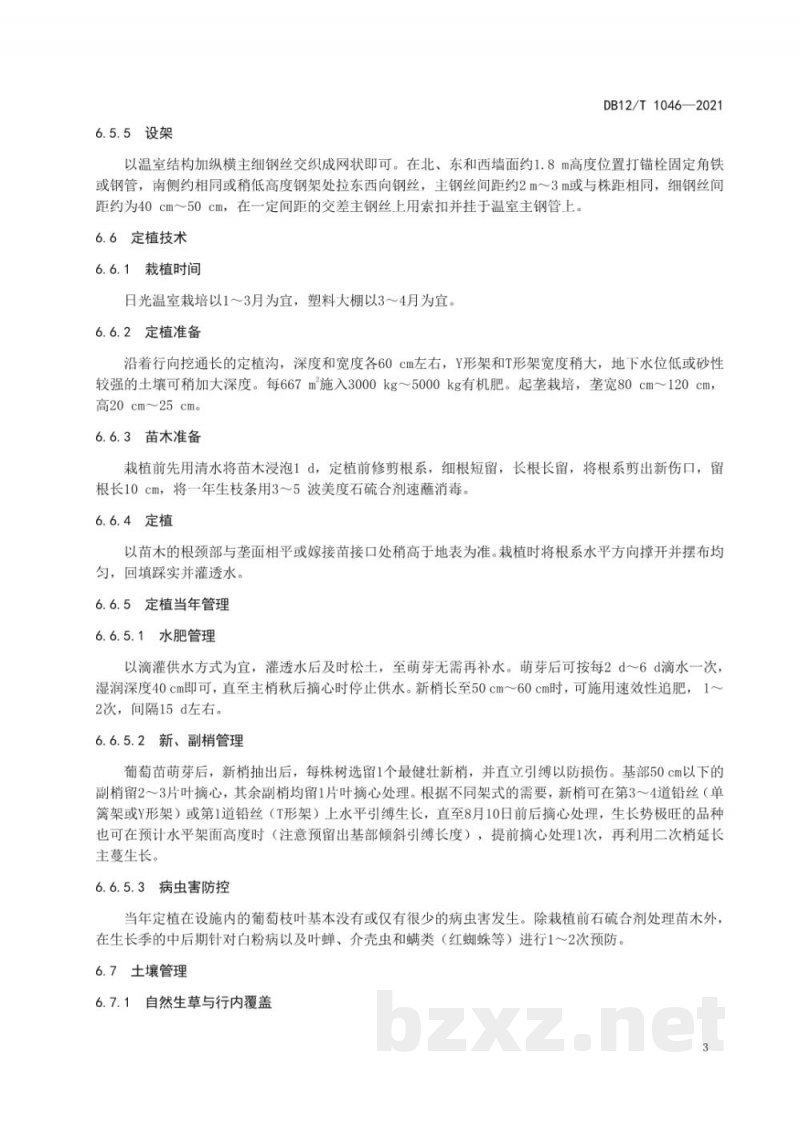 DB12/T 1046-2021葡萄设施栽培技术规程 DB12/T 1046-2021葡萄设施栽培技术规程