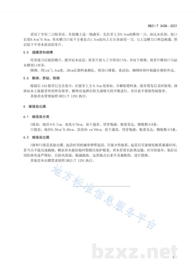 DB21/T 3428-2021文冠果嫁接苗繁育技术规程 DB21/T 3428-2021文冠果嫁接苗繁育技术规程