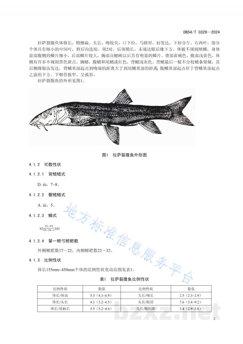DB54/T 0329-2024拉萨裂腹鱼 DB54/T 0329-2024拉萨裂腹鱼