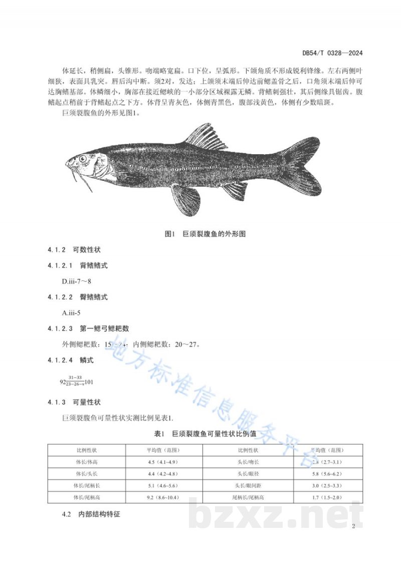 DB54/T 0328-2024巨须裂腹鱼 DB54/T 0328-2024巨须裂腹鱼
