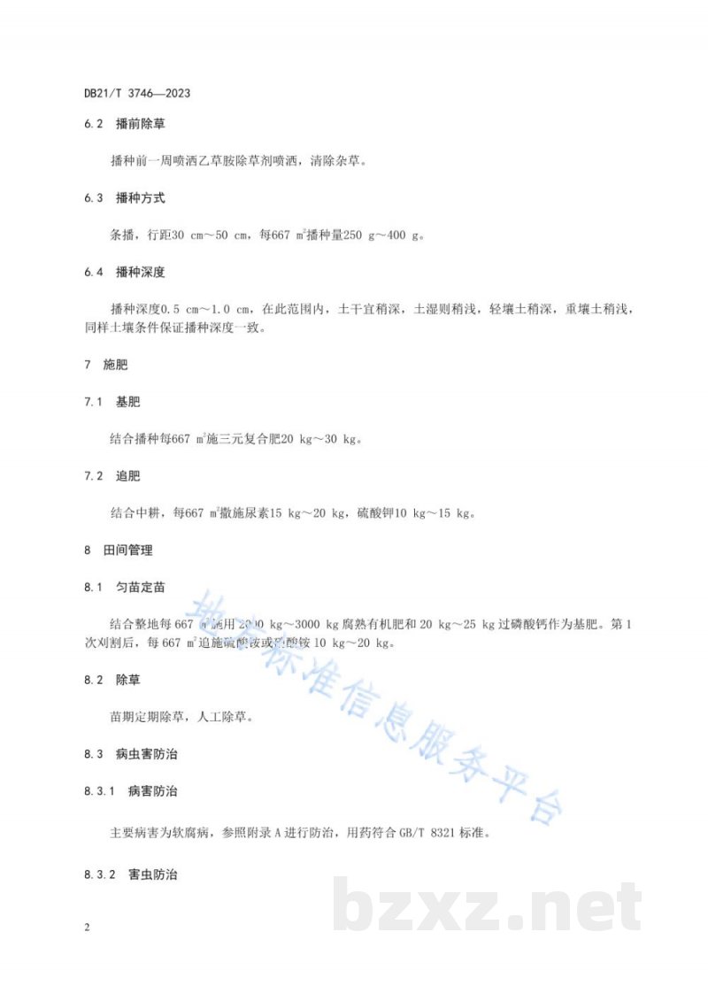 DB21/T 3746-2023半干旱区菊苣种植技术规程 DB21/T 3746-2023半干旱区菊苣种植技术规程