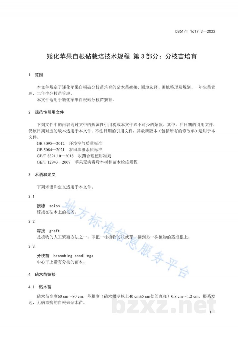 DB61/T 1617.3-2022矮化苹果自根砧栽培技术规程 第3部分:分枝苗培育 DB61/T 1617.3-2022矮化苹果自根砧栽培技术规程 第3部分:分枝苗培育