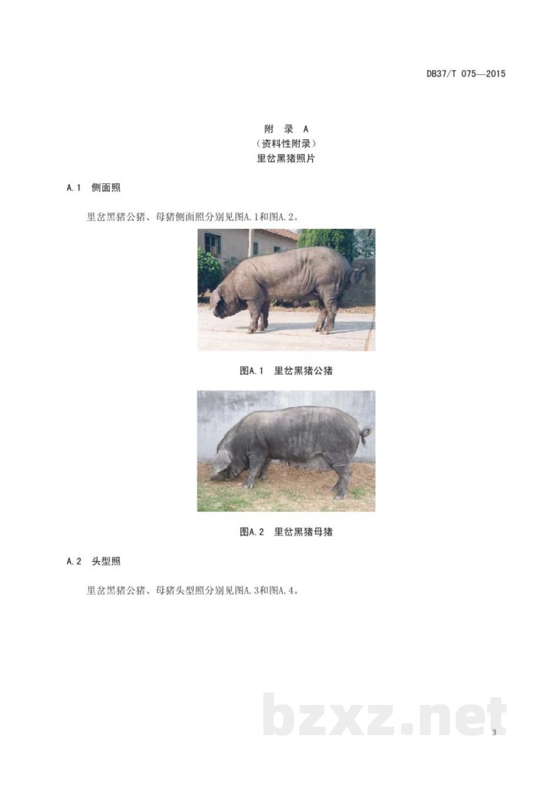 DB37/T 075-2015里岔黑猪 DB37/T 075-2015里岔黑猪