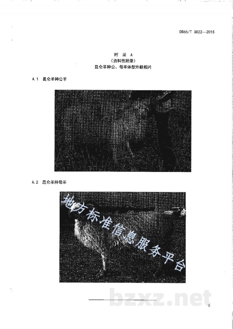 DB65/T 3822-2015昆仑羊种羊 DB65/T 3822-2015昆仑羊种羊
