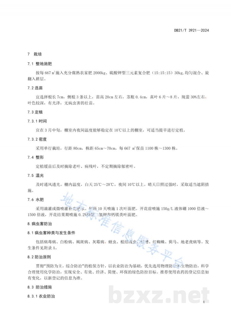 DB21/T 3921-2024毛酸浆(黄菇娘)塑料大棚栽培技术规程 DB21/T 3921-2024毛酸浆(黄菇娘)塑料大棚栽培技术规程