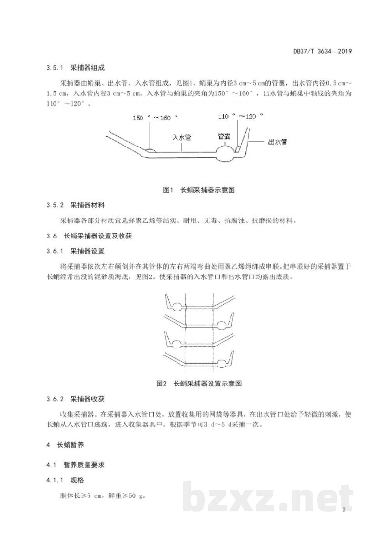 DB37/T 3634-2019长蛸采捕、暂养及运输技术规范 DB37/T 3634-2019长蛸采捕、暂养及运输技术规范