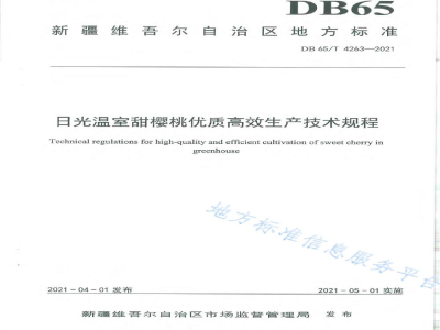 DB65/T 4263-2021日光温室甜樱桃优质高效生产技术规程