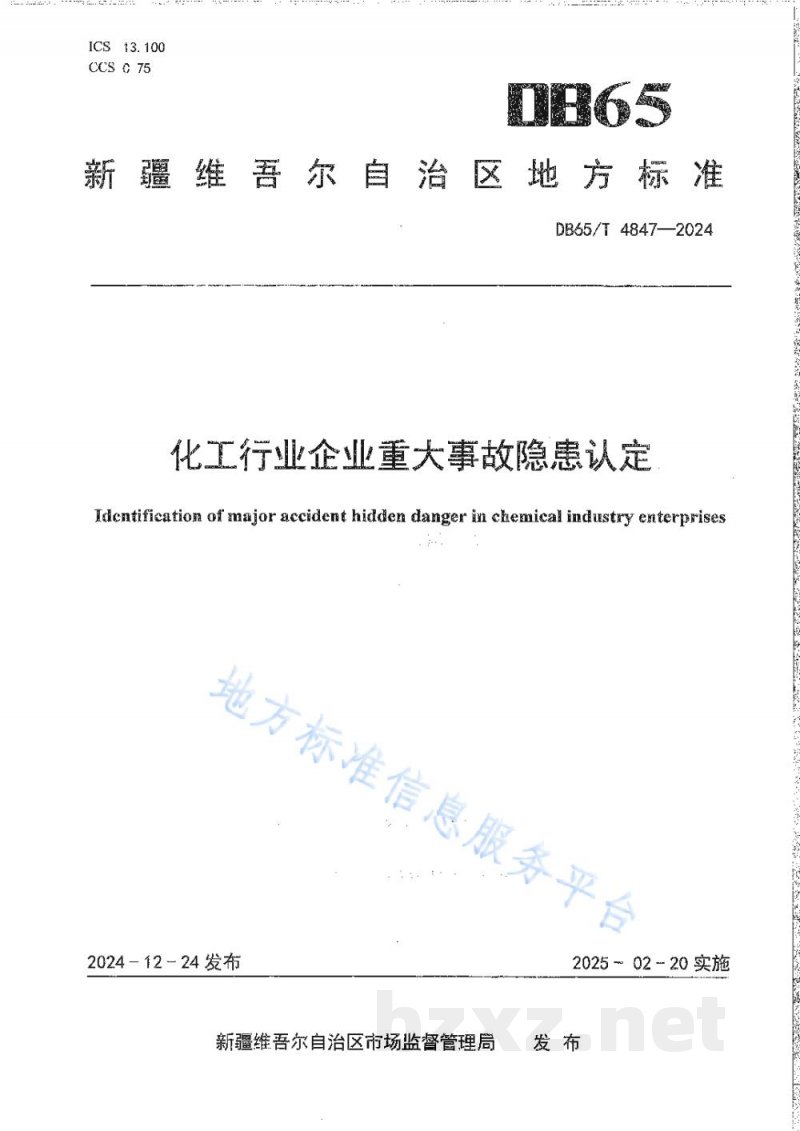 DB65/T 4847-2024化工行业企业重大事故隐患认定 DB65/T 4847-2024化工行业企业重大事故隐患认定
