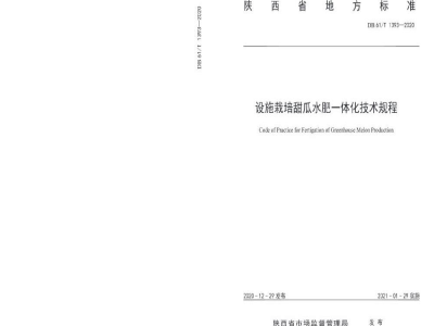 DB61/T 1393-2020设施栽培甜瓜水肥一体化技术规程