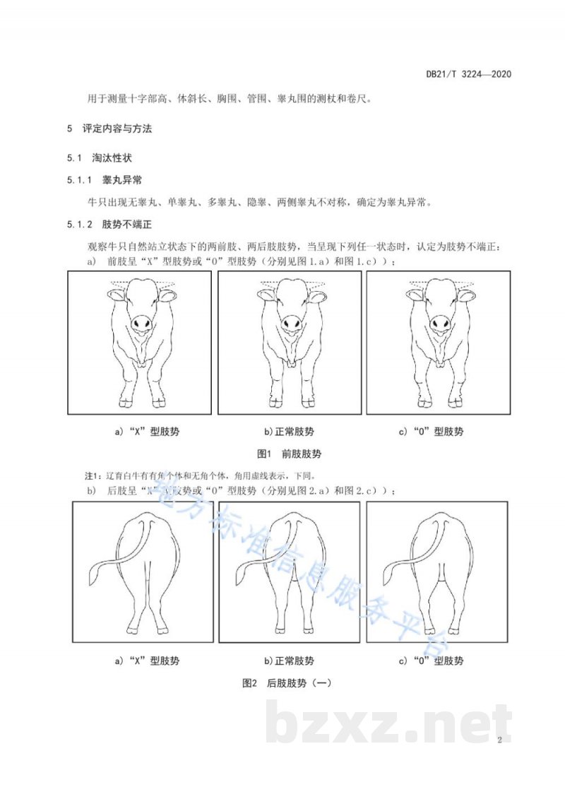 DB21/T 3224-2020辽育白牛后备公牛体型评定技术规范 DB21/T 3224-2020辽育白牛后备公牛体型评定技术规范
