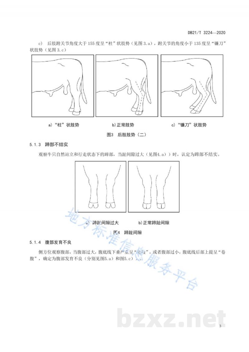 DB21/T 3224-2020辽育白牛后备公牛体型评定技术规范 DB21/T 3224-2020辽育白牛后备公牛体型评定技术规范