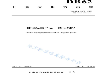 DB62/T 2379-2019地理标志产品 靖远枸杞