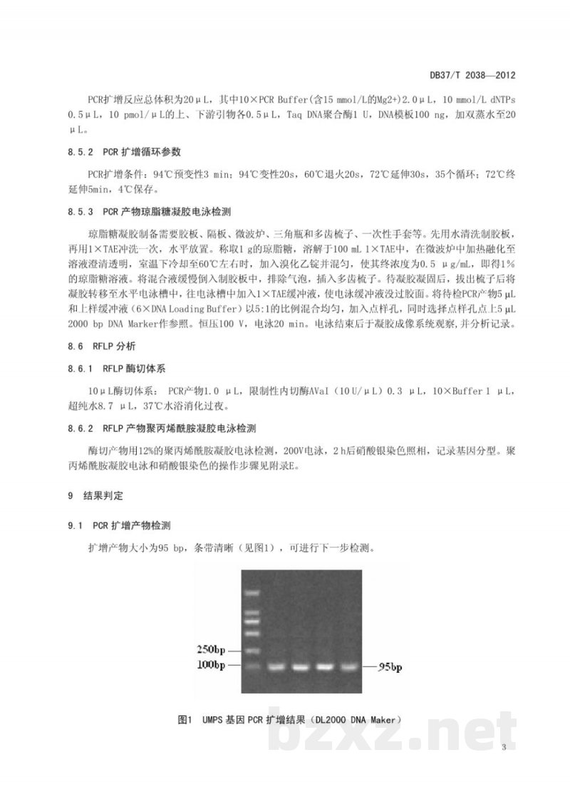 DB37/T 2038-2012牛尿苷酸合酶缺乏症(DUMPS)分子检测技术规程 DB37/T 2038-2012牛尿苷酸合酶缺乏症(DUMPS)分子检测技术规程